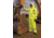 MCR Safety Luminator Breathable Poly/PU Class 3 Jacket, Fluorescent Lime, XL, 598RJHXL