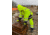 MCR Safety Luminator Hi Vis Lightweight Rain Jacket, Poly/PU, Detachable Hideaway, Hood with Drawstring, ANSI 107 Type R Class 3, Fluorescent Lime, 4X, 508SJX4