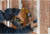 Mechanix Wear ColdWork M-Part Clim8 Gloves - Mens, Black, Large, CWKMP8-75-010