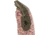 Mechanix Wear Ethel Garden Leopard Gloves - Womens, Orange, Medium, ETH-LP09-520