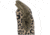 Mechanix Wear Ethel Garden Leopard Gloves - Womens, Tan, Small, ETH-LP75-510