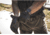 Mechanix Wear Law Enforcement Needle Stick Gloves - Mens, Covert, Small, NSLE-55-008