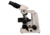 Meiji Techno Binocular Gout Testing Microscope, BEIGE, LARGE MT9520