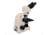 Meiji Techno Ergomonic Binocular Gout Testing Microscope, BEIGE, LARGE MT9540