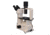 Meiji Techno Ergonomic Binocluar Inverted Brightfield/Phase Contrast Biological Microscope, TC-5300E