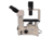 Meiji Techno Ergonomic Binocluar Inverted Brightfield/Phase Contrast Biological Microscope, TC-5300E