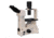 Meiji Techno Ergonomic Binocluar Inverted Brightfield/Phase Contrast Biological Microscope, TC-5300E