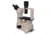 Meiji Techno Ergonomic Binocular Inverted Brightfield Biological Microscope, TC-5100E
