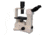 Meiji Techno Ergonomic Binocular Inverted Brightfield Biological Microscope, TC-5100E