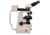 Meiji Techno Halogen Bino Incident,Transmitted Light BF,DF Metallurgical Microscope, BEIGE, LARGE MT8520