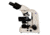 Meiji Techno Halogen Binocular Brightfield Biological Microscope, BEIGE, LARGE MT4200H