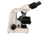 Meiji Techno Halogen Binocular Brightfield,Phase Contrast Biological Microscope, BEIGE, LARGE MT4210H