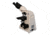 Meiji Techno Halogen Binocular Brightfield Research,Clinical Studies Biological Microscope, BEIGE, LARGE MT5200H