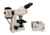 Meiji Techno Halogen Binoculor Epi-Fluorescence Biological Microscope, BEIGE, LARGE MT6200H