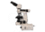 Meiji Techno Halogen Ergo Bino Incident,Transmitted Light BF Metallurgical Microscope, BEIGE, LARGE MT8000EH