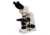 Meiji Techno Halogen Ergonomic Binocular Brightfield Biological Microscope, BEIGE, LARGE MT4200EH
