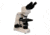 Meiji Techno Halogen Ergonomic Binocular Brightfield Biological Microscope, BEIGE, LARGE MT4200EH