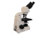 Meiji Techno Halogen Ergonomic Binocular Brightfield Biological Microscope, BEIGE, LARGE MT5200EH