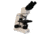 Meiji Techno Halogen Ergonomic Binocular Brightfield Biological Microscope, BEIGE, LARGE MT5200EH