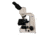 Meiji Techno Halogen Ergonomic Binocular Brightfield,Phase Contrast Biological Microscope, BEIGE, LARGE MT4210EH