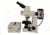 Meiji Techno Halogen Ergonomic Binoculor Epi-Fluorescence Biological Microscope, BEIGE, LARGE MT6200EH