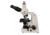 Meiji Techno Halogen Trinocular Brightfield Biological Microscope, BEIGE, LARGE MT5300H