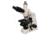 Meiji Techno Halogen Trinocular Brightfield,Phase Contrast Biological Microscope, BEIGE, LARGE MT4310H