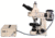 Meiji Techno Halogen Trinocular Epi-Fluorescence Biological Microscope, BEIGE, LARGE MT6300H