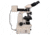 Meiji Techno LED Bino Incident,Transmitted Light BF,DF Metallurgical Microscope,MT8520L, BEIGE, LARGE MT8520L