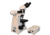 Meiji Techno LED Bino Incident,Transmitted Light BF Metallurgical Microscope, BEIGE, LARGE MT8000L