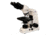 Meiji Techno LED Binocular Brightfield Biological Microscope,MT400L, BEIGE, LARGE MT4200L