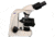 Meiji Techno LED Binocular Brightfield,Phase Contrast Biological Microscope,MT4210L, BEIGE, LARGE MT4210L