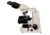 Meiji Techno LED Binocular Brightfield,Phase Contrast Biological Microscope,MT4210L, BEIGE, LARGE MT4210L