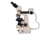 Meiji Techno LED Ergo Bino Incident,Transmitted Light BF,DF Metallurgical Microscope,MT8520L, BEIGE, LARGE MT8520EL