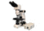 Meiji Techno LED Ergo Bino Incident,Transmitted Light BF Metallurgical Microscope,MT8000EL, BEIGE, LARGE MT8000EL