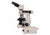 Meiji Techno LED Ergo Bino Incident,Transmitted Light BF Metallurgical Microscope,MT8000EL, BEIGE, LARGE MT8000EL