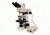 Meiji Techno LED Ergo Trino Incident,Transmitted Light BF,DF Metallurgical Microscope,MT8500, BEIGE, LARGE MT8530EL