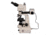 Meiji Techno LED Ergo Trino Incident,Transmitted Light BF,DF Metallurgical Microscope,MT8500, BEIGE, LARGE MT8530EL