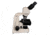 Meiji Techno LED Ergonomic Binocular Brightfield,Phase Contrast Biological Microscope,MT4210EL, BEIGE, LARGE MT4210EL