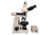Meiji Techno LED Trino Incident,Transmitted Light BF Metallurgical Microscope,MT8100L, BEIGE, LARGE MT8100L