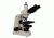 Meiji Techno LED Trinocular Brightfield,Phase Contrast Biological Microscope,MT5310L, BEIGE, LARGE MT5310L