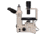 Meiji Techno Trinocular Inverted Brightfield Biological Microscope, TC-5200