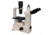 Meiji Techno Trinocular Inverted Brightfield Biological Microscope, TC-5200