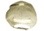 Merica Life Tactical Hat, Coyote, One Size, COYTH