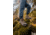 Merrell Moab 3 Mid WP Hiking Shoes - Womens, Bungee Cord, 9, J035848-9