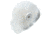 Micronova Brush Cylinder 7in Od Wht Cs12 BRWH-02, Unit CS