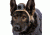 MOHOC K9 Mount, Black, One size fits all MH-K9BK