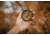 Moment 82mm AntiGlare CPL Filter, 600-089