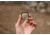 Moment CineClear Snap-On Protection Filter, for iPhone 13 Pro/Pro Max, Black, 600-122