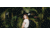 Moment M-Series, 1.33x Anamorphic Lens, Blue Flare, Black, 130-001
